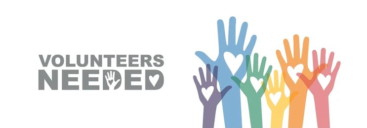 Indian Women Cricket Team